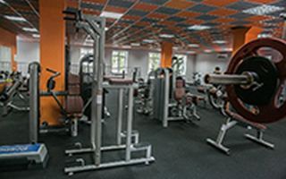 Компания «ОЛИМПфитнесс» — оборудование BRONZE GYM