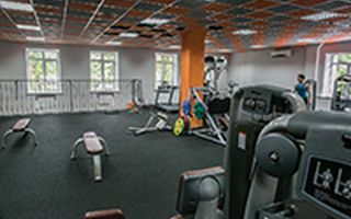 Компания «ОЛИМПфитнесс» — оборудование BRONZE GYM