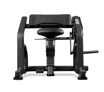 BRONZE GYM PL-1713 Бицепс