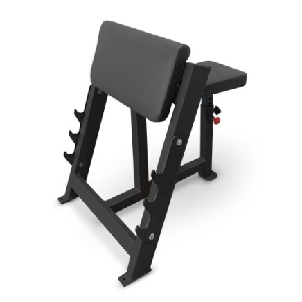 BRONZE GYM PARTNER AL-303 Скамья Скотта