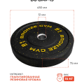 Диск бамперный 15 кг BRONZE GYM (BG‑BMP‑15)