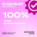 BRONZE GYM БОДИБАР, 1 кг Палка гимнастическая профессиональная