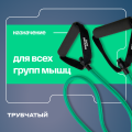 Эспандер трубчатый BRONZE GYM, сильное сопр. 8 кг (BG‑FA‑TTH)