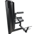 BRONZE GYM PARTNER ML-813 Разгибание спины профессиональный