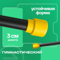 BRONZE GYM БОДИБАР, 2 кг Палка гимнастическая профессиональная — фото 4