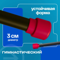 BRONZE GYM БОДИБАР, 4 кг Палка гимнастическая профессиональная — фото 4