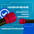 BRONZE GYM БОДИБАР, 4 кг Палка гимнастическая профессиональная — фото 8