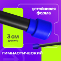 BRONZE GYM БОДИБАР, 5 кг Палка гимнастическая профессиональная — фото 4