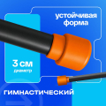 BRONZE GYM БОДИБАР, 6 кг Палка гимнастическая профессиональная — фото 4