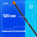 BRONZE GYM БОДИБАР, 6 кг Палка гимнастическая профессиональная — фото 6