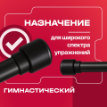 BRONZE GYM БОДИБАР, 7 кг Палка гимнастическая профессиональная — фото 8