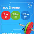 Штанга для аэробики BRONZE GYM БОДИПАМП (гриф, весовые диски 2x1,25кг, 2x2, 5кг, 2x5кг, пара замков) — фото 5