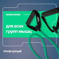 Эспандер трубчатый BRONZE GYM, сильное сопр. 8 кг — фото 7