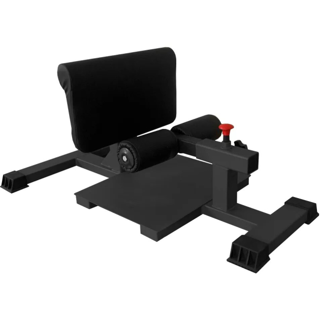 BRONZE GYM PARTNER AL-203 Сисси присед