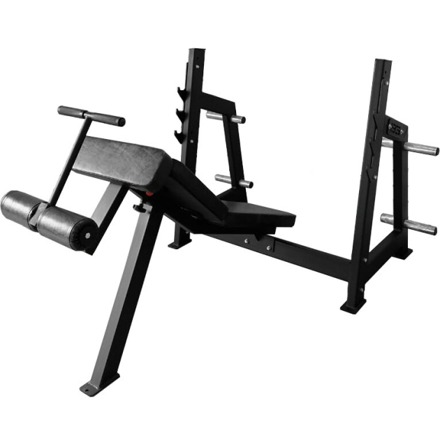 BRONZE GYM AL-306 Скамья для жима под углом вниз