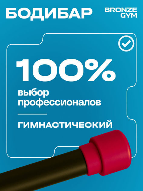 BRONZE GYM БОДИБАР, 4 кг Палка гимнастическая профессиональная — фото 9