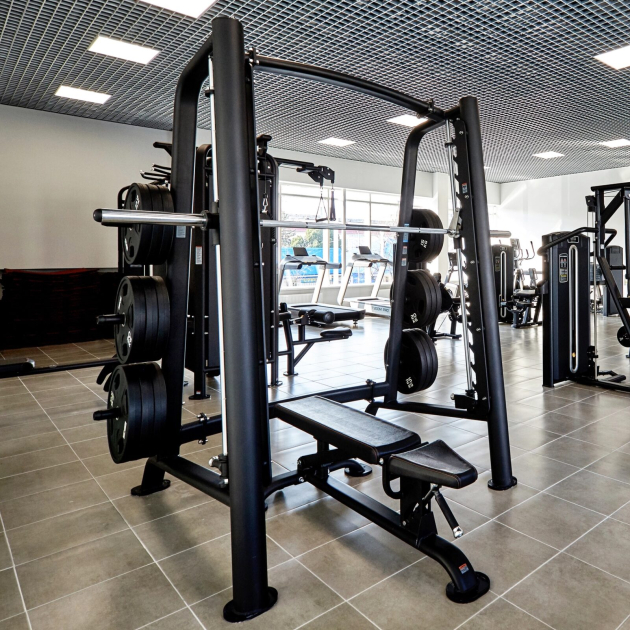 BRONZE GYM PL-1721 Машина Смита — фото 2