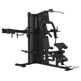 BRONZE GYM EVOLVE TripleX Мультистанция